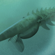 Illustration for article titled This Crazy-Looking Creature Was The Oceans First Filter-Feeding Giant